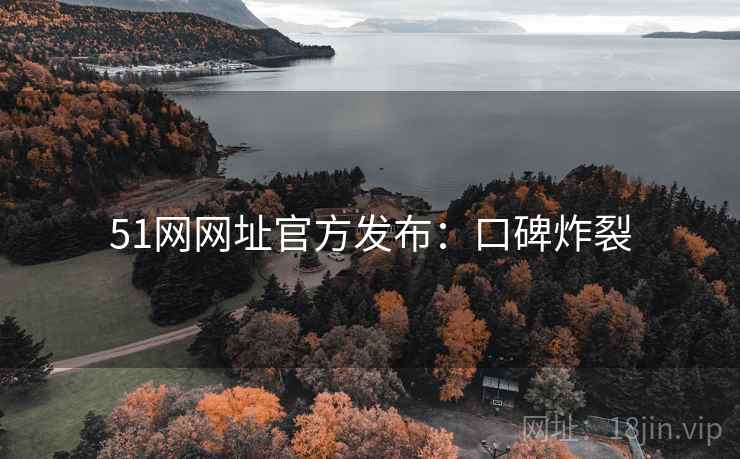 51网网址官方发布：口碑炸裂