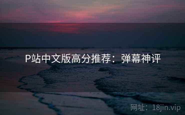 P站中文版高分推荐：弹幕神评