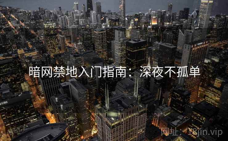 暗网禁地入门指南:深夜不孤单 暗网禁地入门指南:深夜不孤单