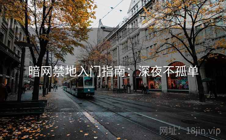 暗网禁地入门指南：深夜不孤单